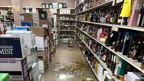 Virginia Drunk Raccoon