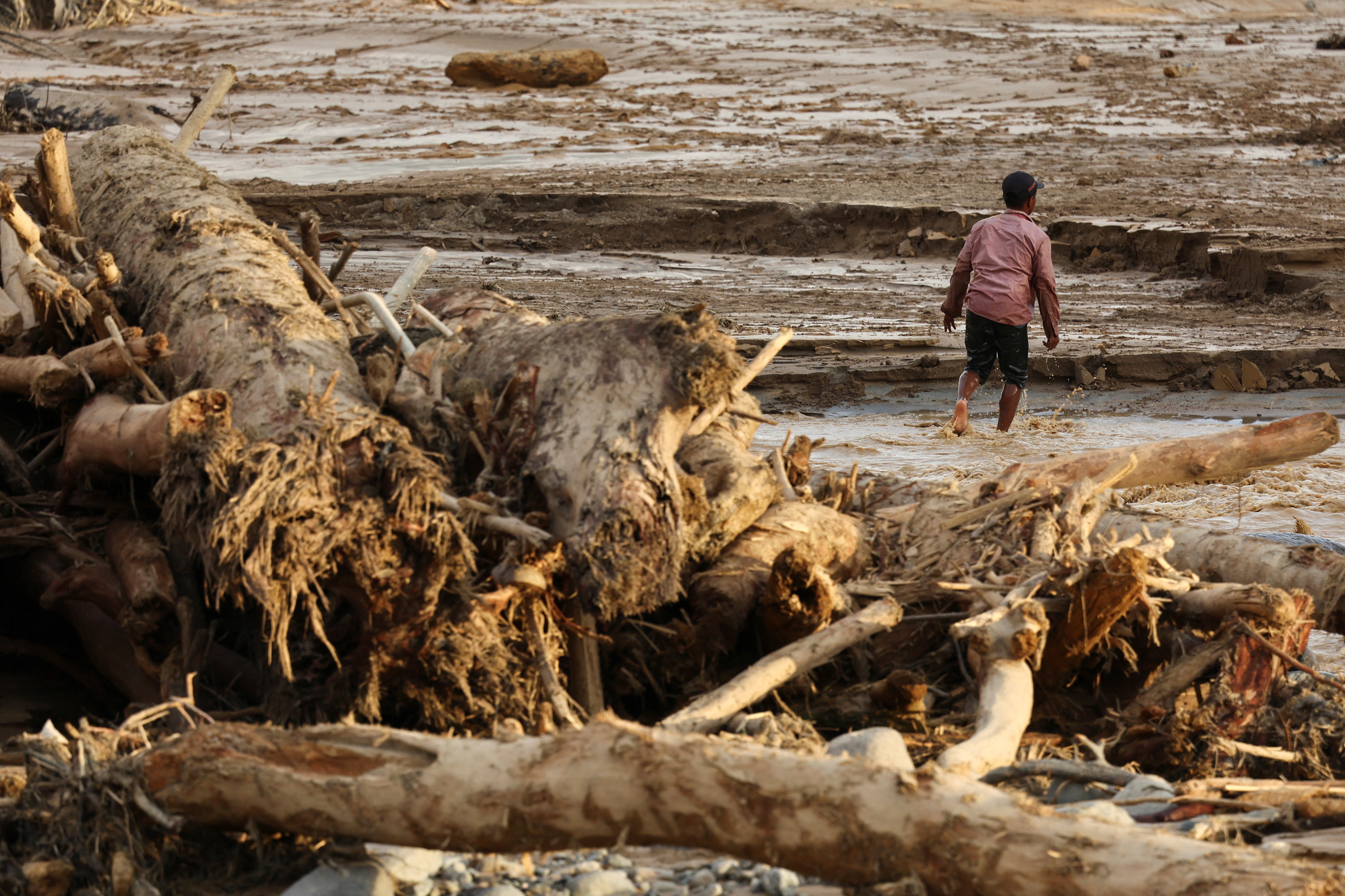 A man walks near fallen trees at an area hit by deadly flash floods following heavy rains in Padang, West Sumatra province, Indonesia
