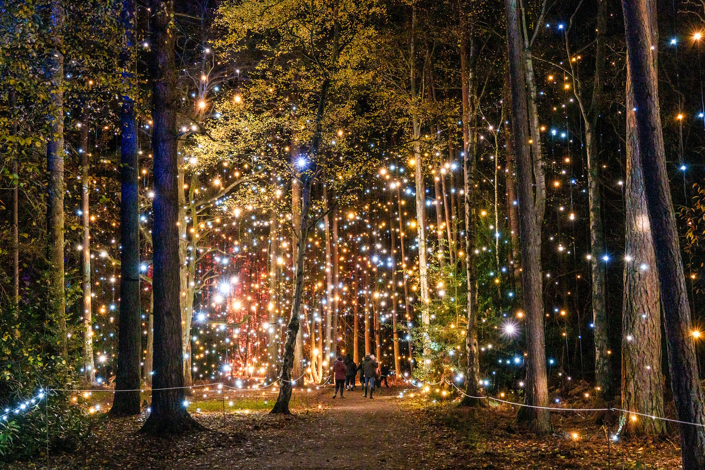 Wander the twinkling royal parklands at Sandringham