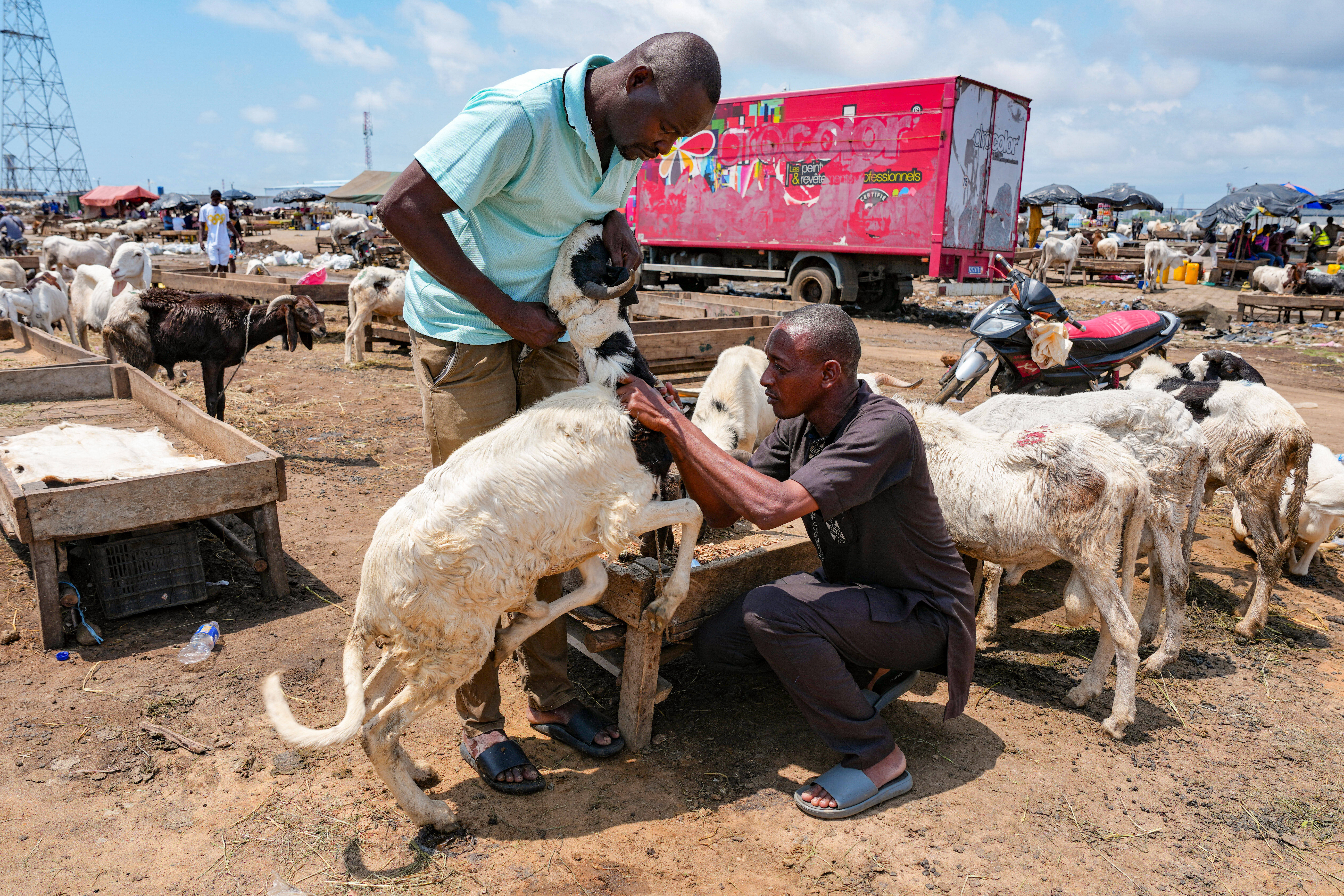 Migration Ivory Coast Herders