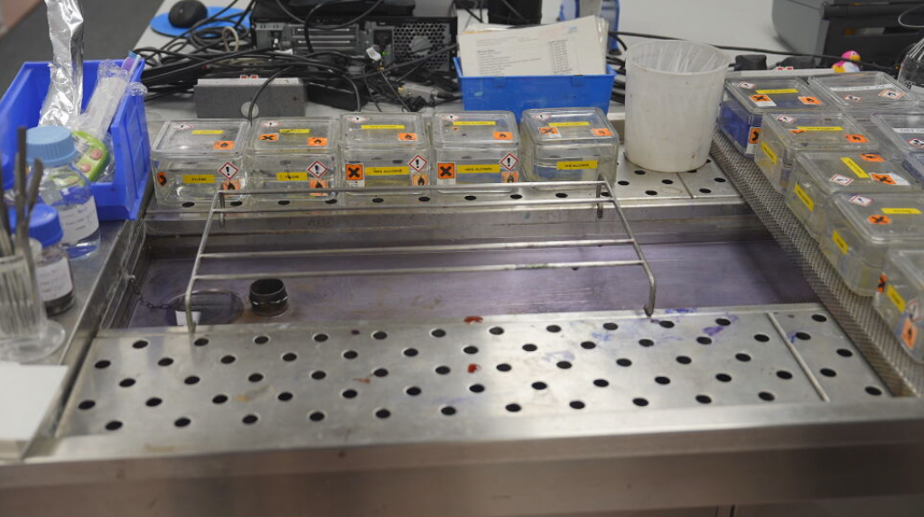 Laboratories should use machines called downdraft benches to store tissue samples kept in formaldehyde