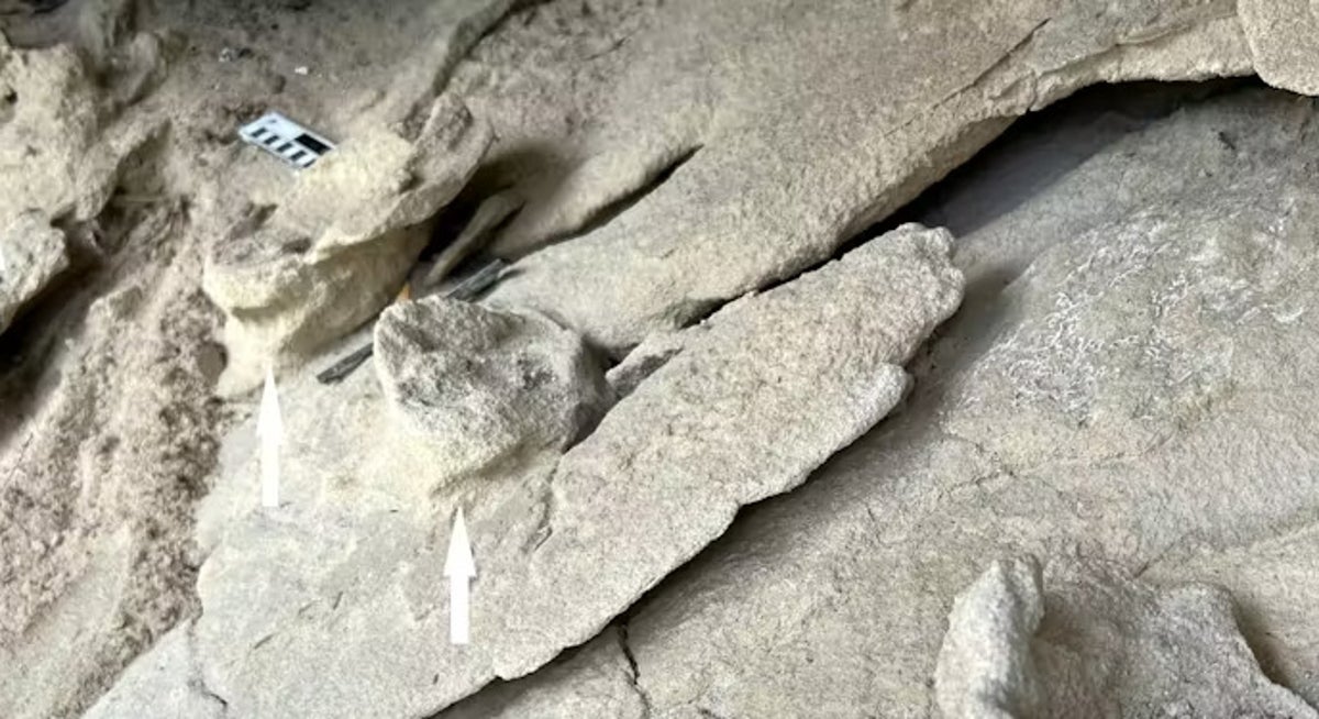 Three-million-year old fossil tracks spark search for human ancestor species