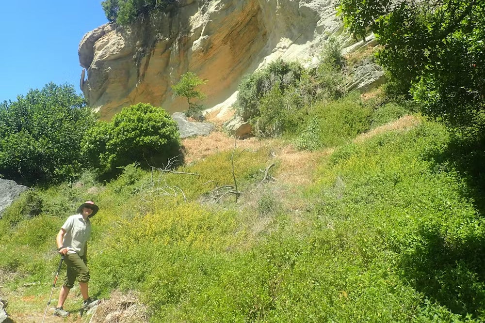 A new fossil site in South Africa’s Western Cape province