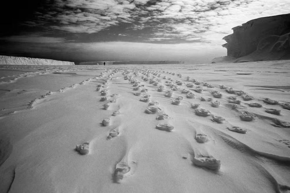 These pedestalled trackways in snow in Antarctica survived for weeks after the tracks were registered
