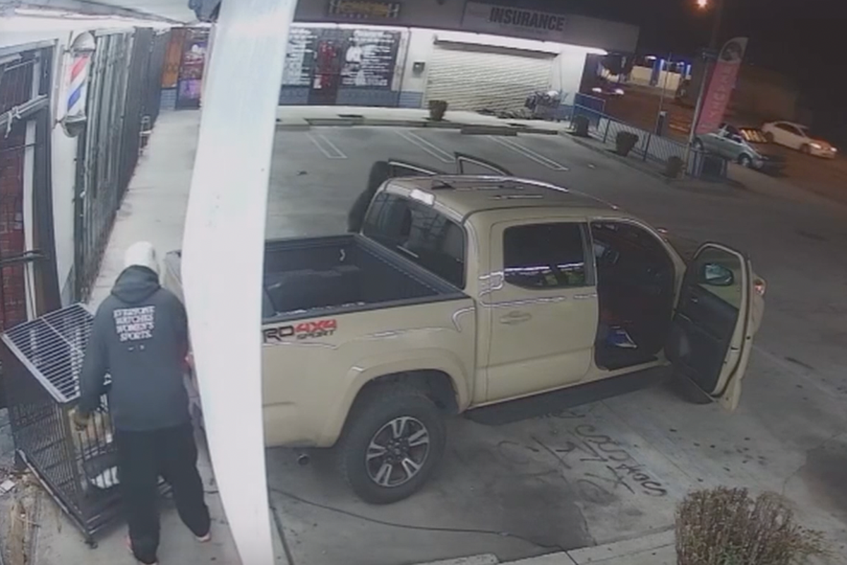 Burglars smash into LA barber shop and steal owner’s $2000 cat