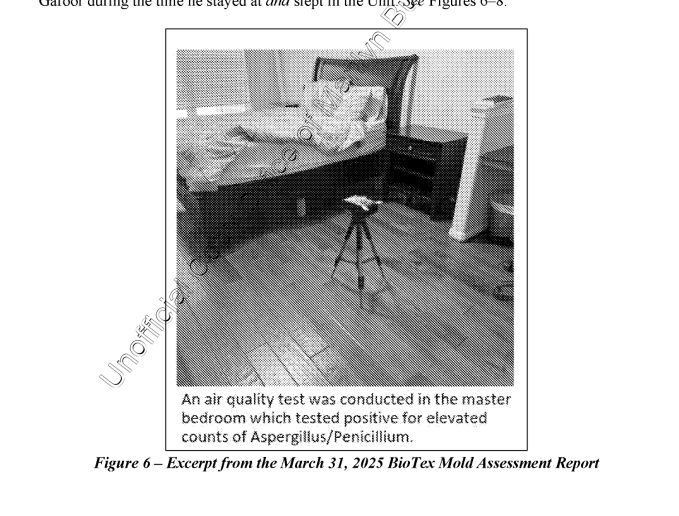Gafoor's family is suing Airbnb after tests found toxic mold in the air conditioner in the primary bedroom of the home they rented. Gafoor, a cancer patient, died after becoming even sicker from the fungal spores,.
