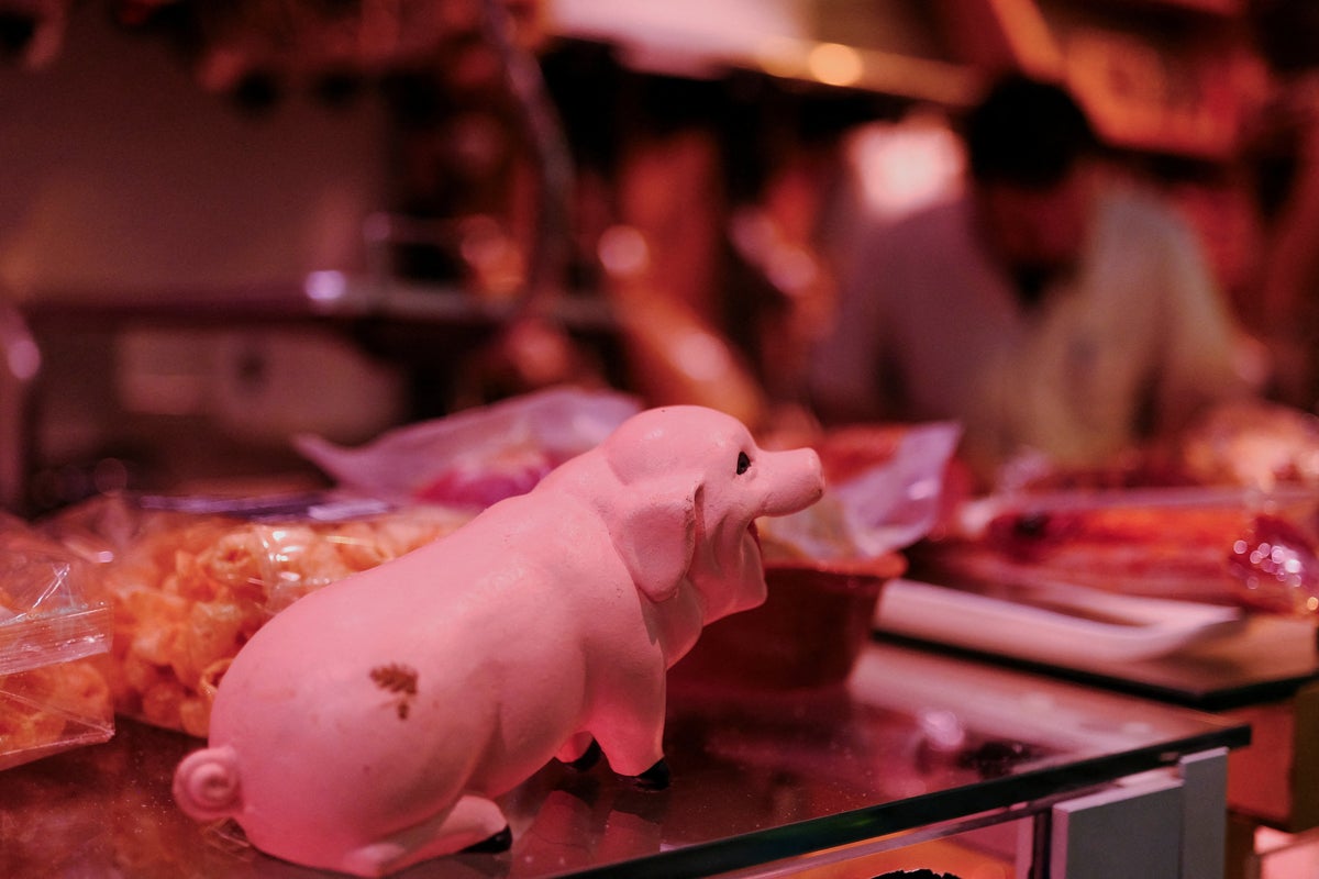 Spanish police search laboratory in African swine fever leak fears Spanish police search laboratory in African swine fever leak fears