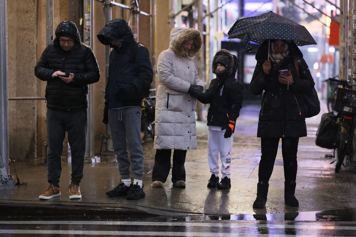  The berry packed with antioxidants that could shorten your winter cold and flu