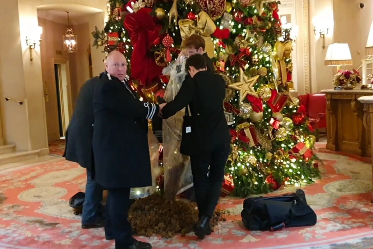 Protestors dump horse manure next to Ritz Hotel Christmas tree