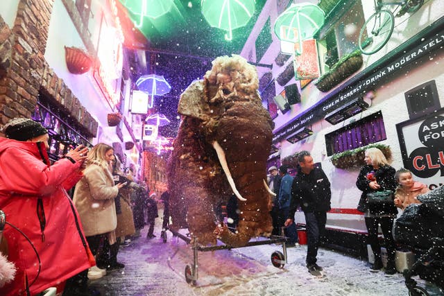A life-size replica of the Belfast city’s most famous elephant Sheila (Jonathan Porter/Press Eye/PA)