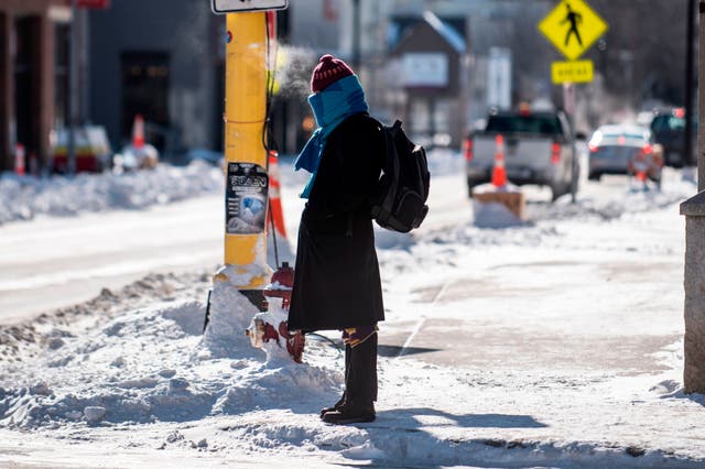 <p>A pedestrian waits at a street corner in Minneapolis, Minnesota, in January 2019. A cold stretch in the city sent temperatures tumbling below those on Mars </p>