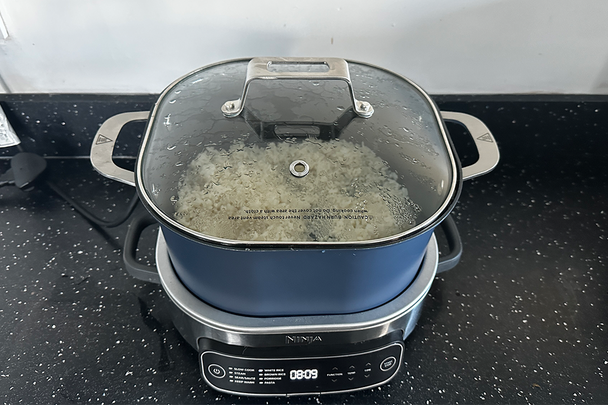 Best rice cooker Indybest review Ninja Foodi 6l PossibleCooker rice and slow cooker