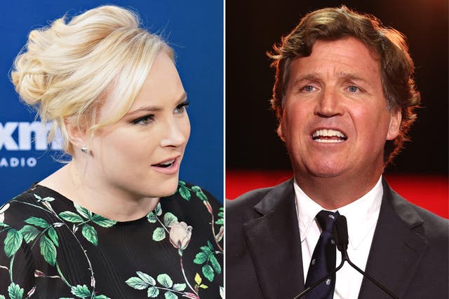 <p>Meghan McCain slammed Tucker Carlson for allowing his interviewee to make fatphobic and homophobic claims</p>