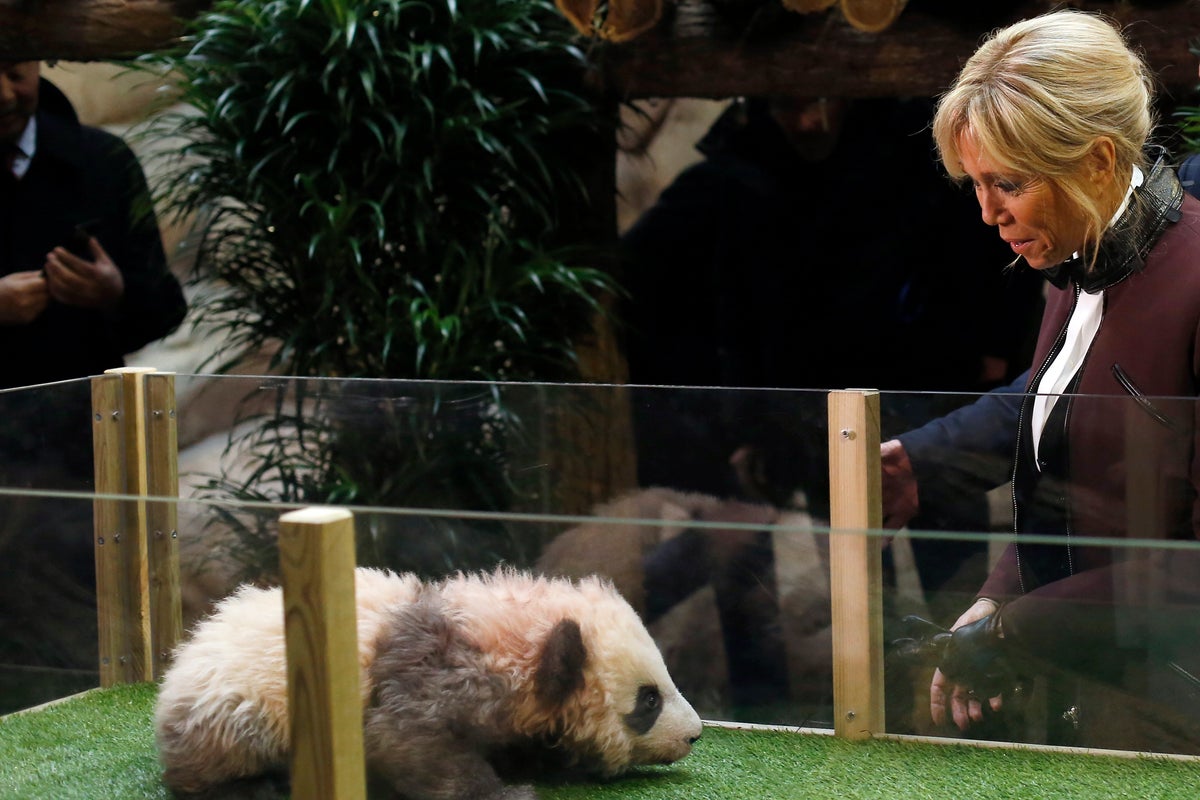 French first lady Brigitte Macron visits an old friend in China: A giant panda called Yuan Meng – UK Times