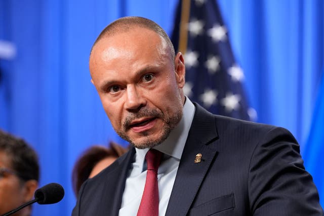 <p>FBI deputy director Dan Bongino has publicly distanced himself from baseless claims that law enforcement was participating in a ‘cover up’ in the case of an alleged pipe bomber in Washington DC the night before the January 6 riots</p>