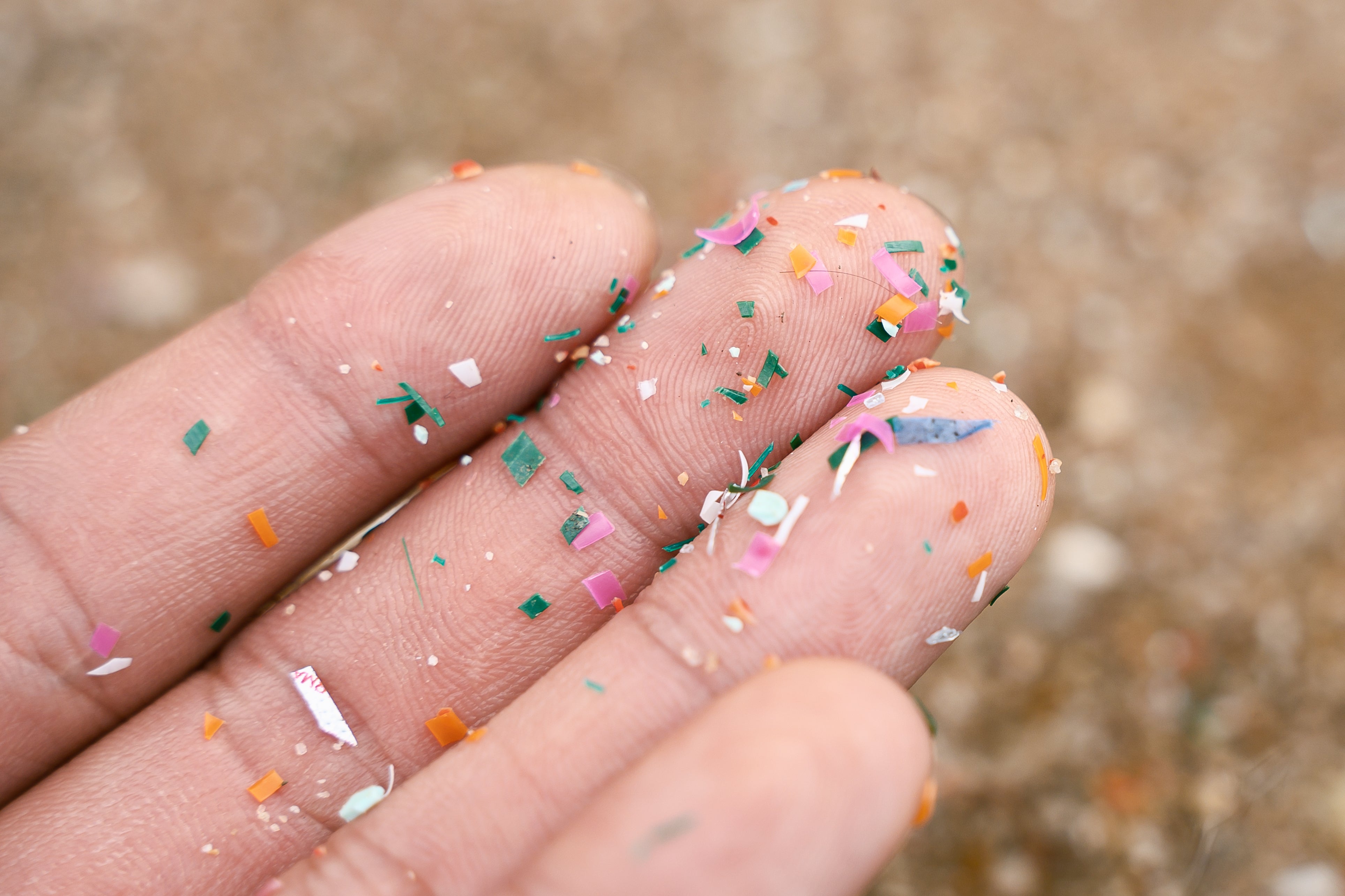 Five ways microplastics can harm your brain and fuel diseases