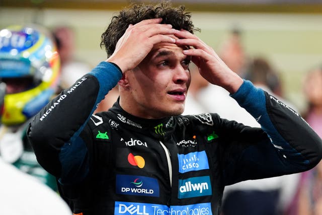 Lando Norris clinched his first world championship in Abu Dhabi (David Davies/PA)