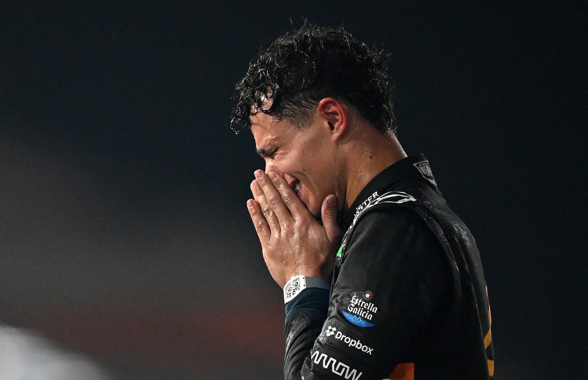 Image for How son of British millionaire Lando Norris silenced naysayers to win maiden F title