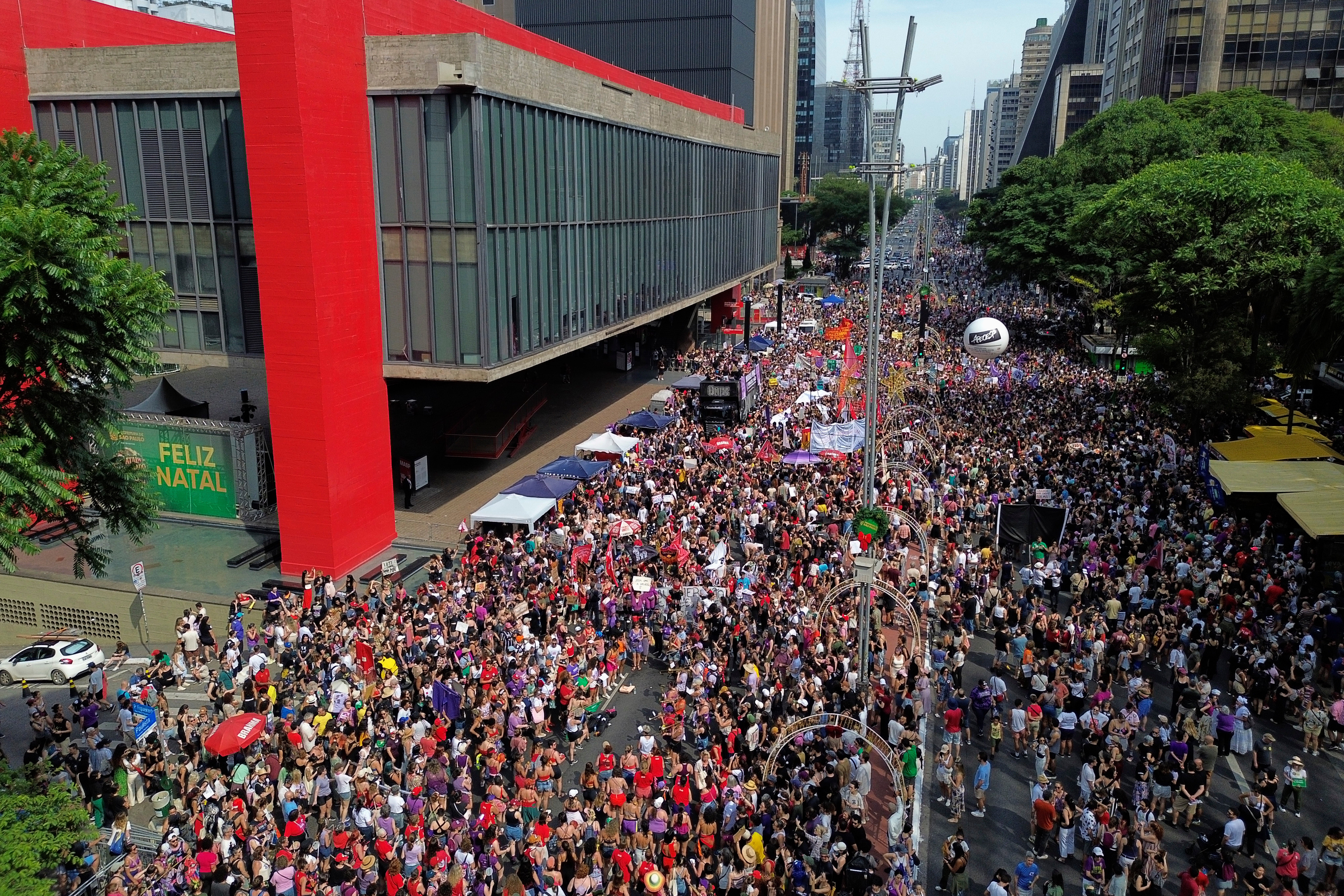 Brazil Femicide March