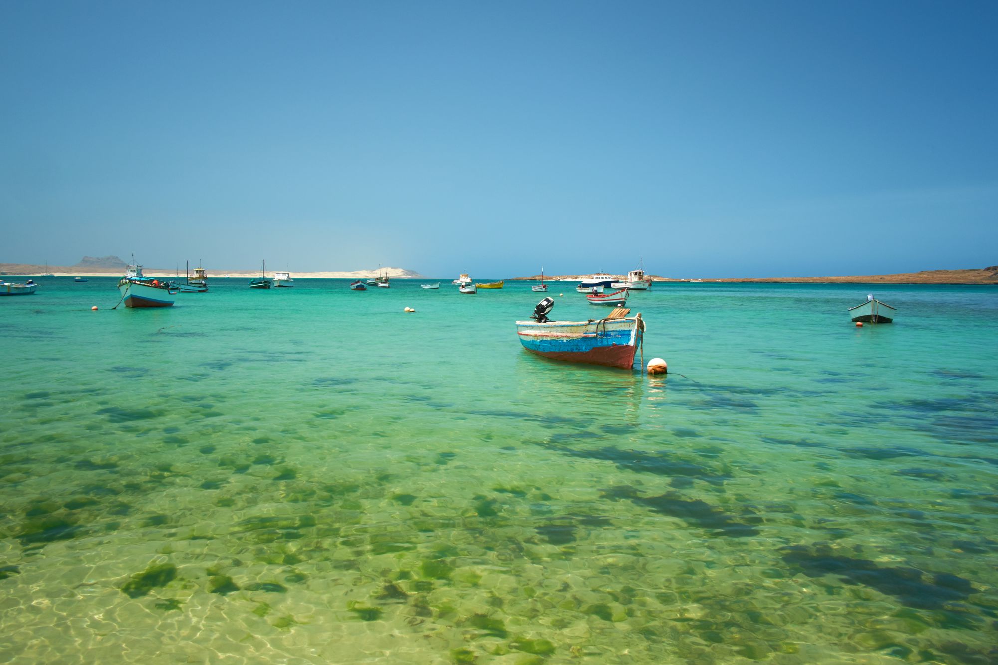 There has been a sharp rise in shigella infections in Cape Verde