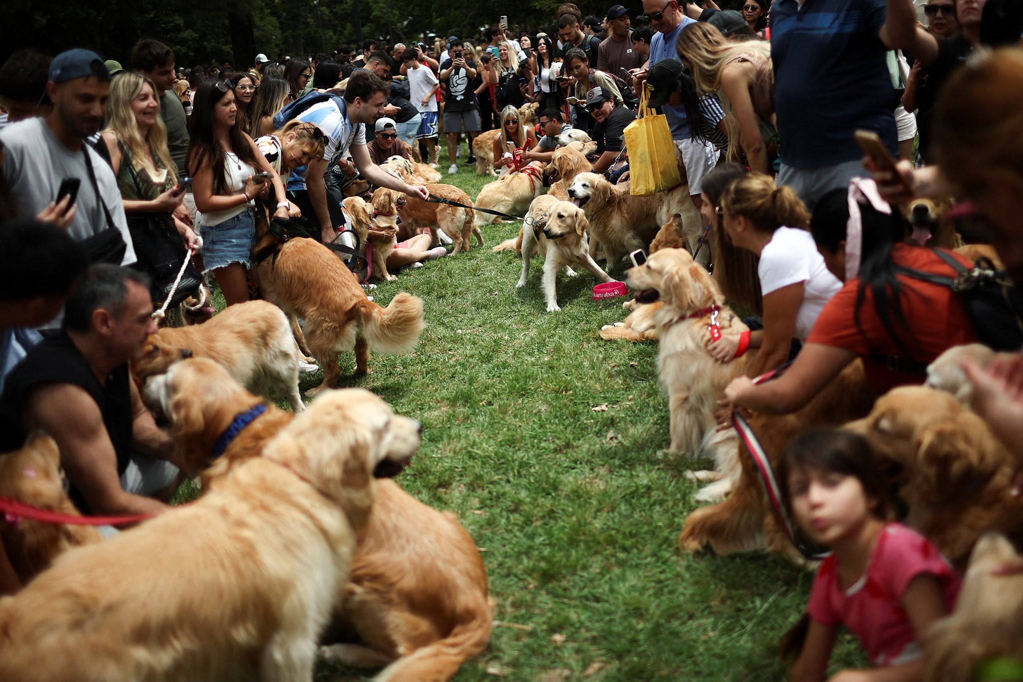 <p>Golden Retrievers and their owners participate in a meetup seeking to break the world record for the largest gathering of the breed, in Buenos Aires, Argentina</p>