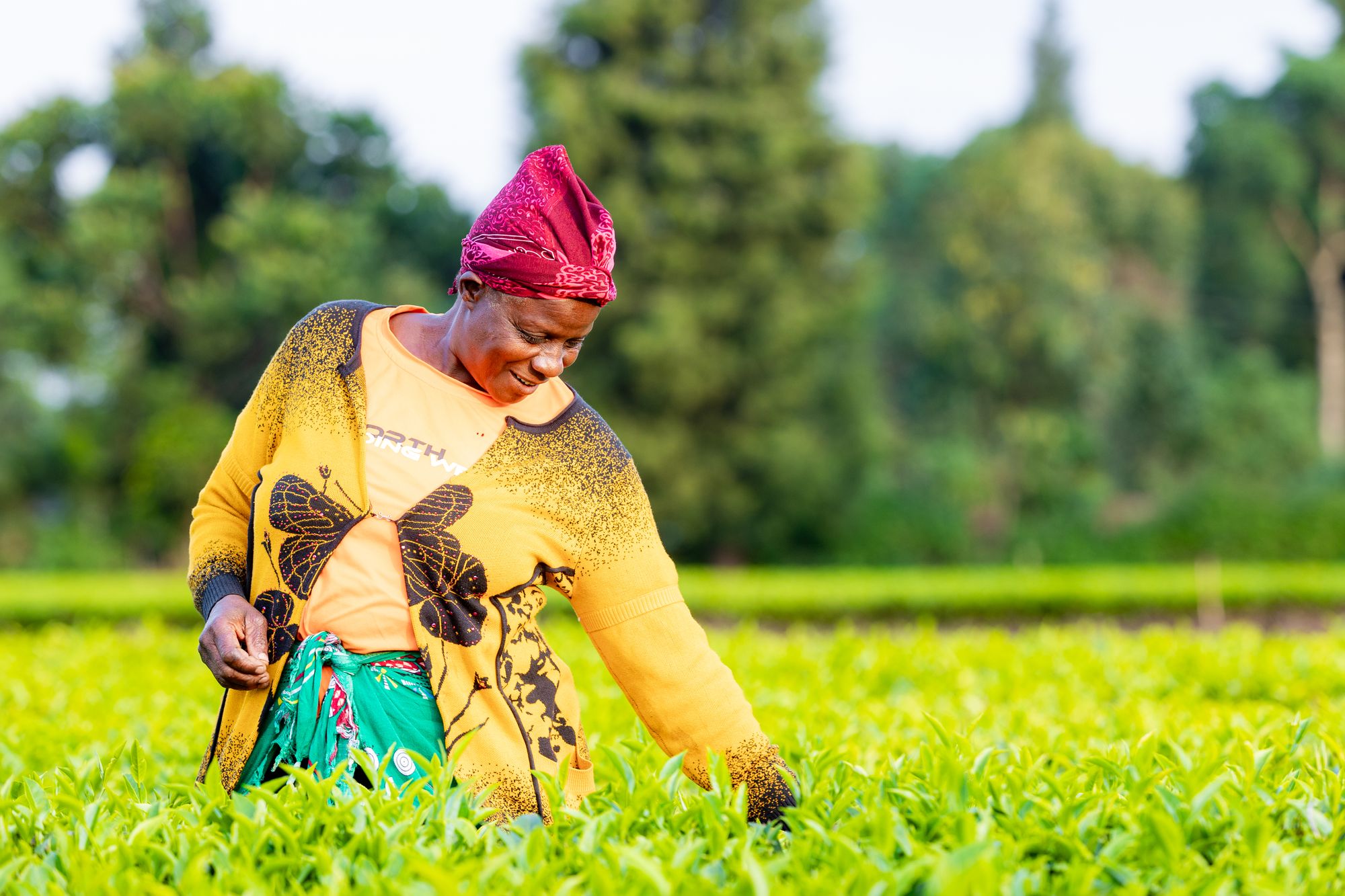 Young Kenyans are turning their backs on farming as the climate crisis bites