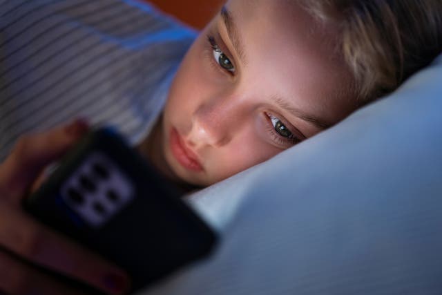 <p>Any teenager who can endlessly scroll without limits is going to be put into a situation where trouble or harm is more likely</p>