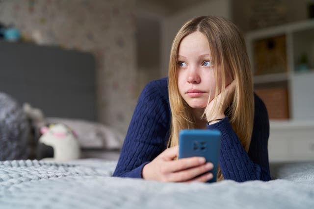 <p>End of an era: Australia will become the first country in the world to ban children under 16 from using social media</p>