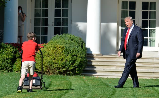 <p>California Governor Gavin Newsom used an infamous photo of President Donald Trump to troll the president over his recent comments about lawnmowers.</p>