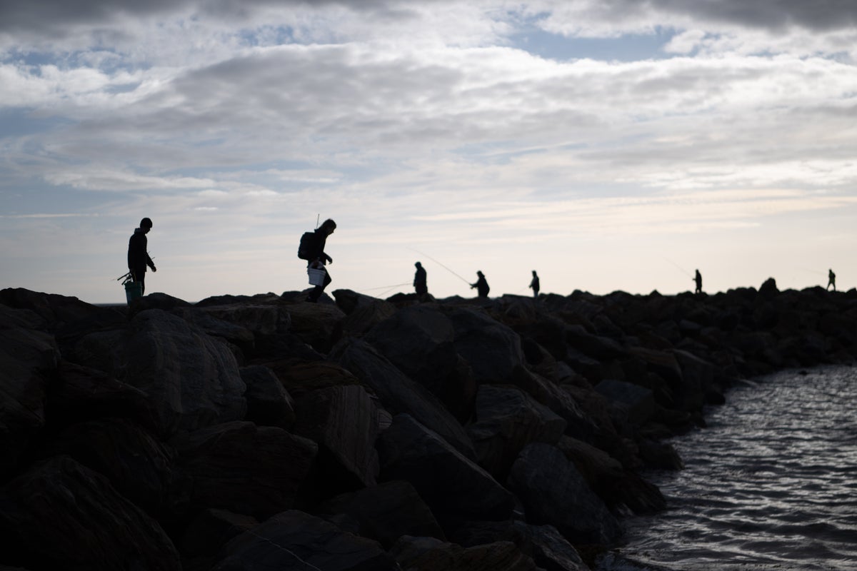 Adding this food to your diet could help restore devastated coastlines