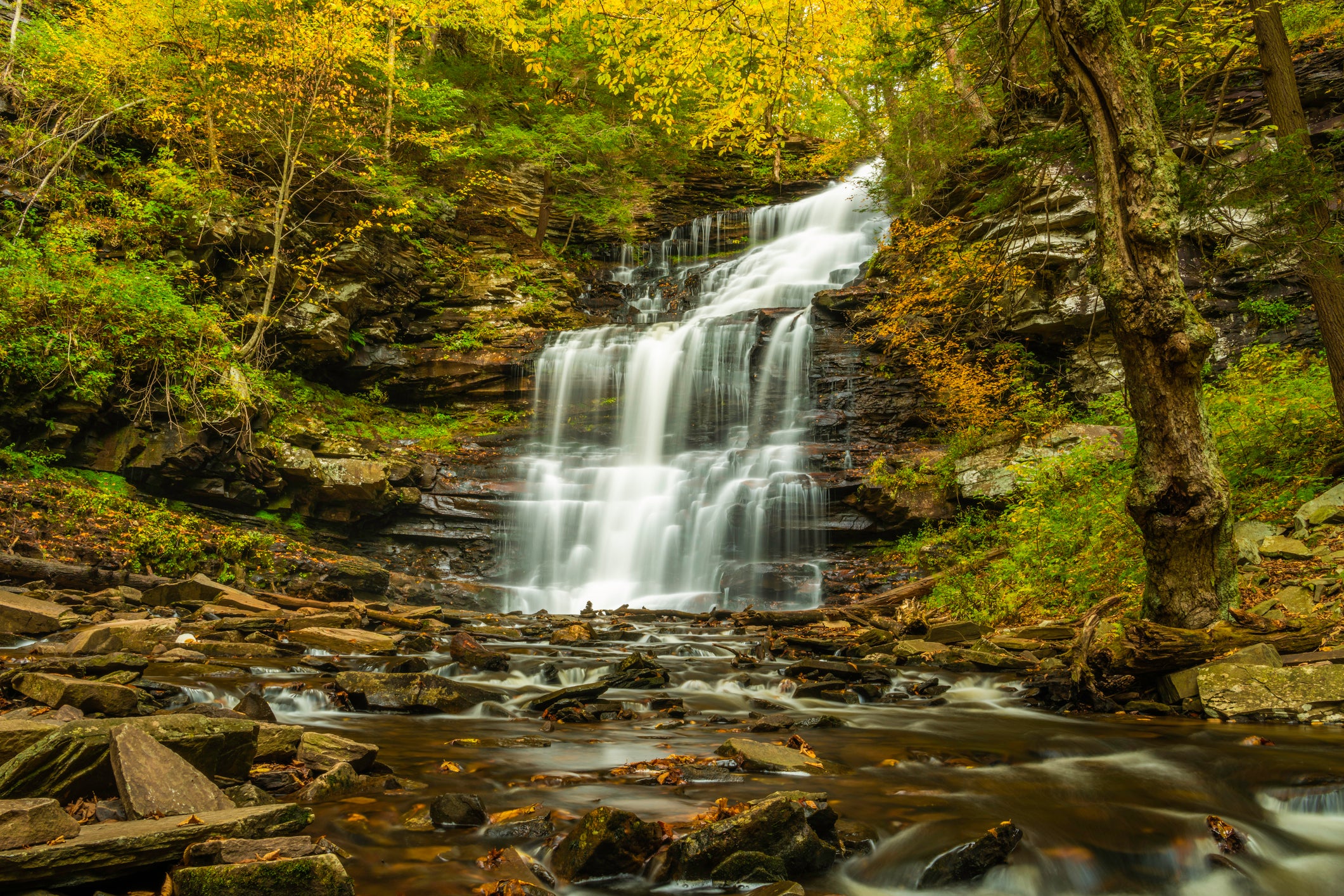 The 94-foot-tall Ganoga Falls, the tallest waterfall of the 22 in Ricketts Glen State Park