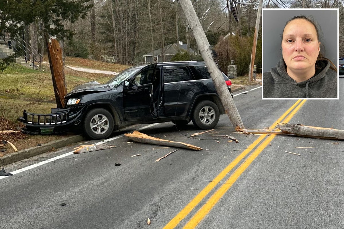 Driver who killed Grammy-nominated musician walking his dogs had been arrested over 100 times