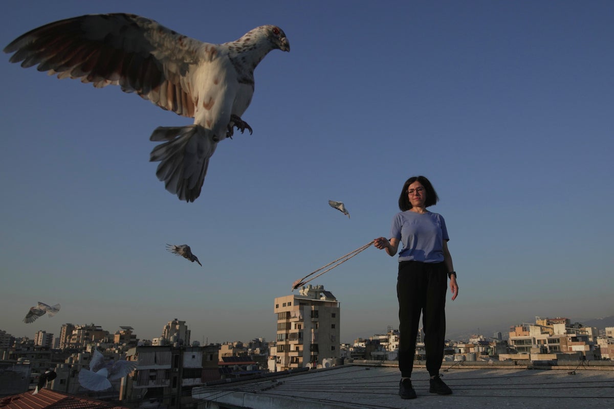 Photos of a Beirut woman's rooftop sanctuary for pigeons