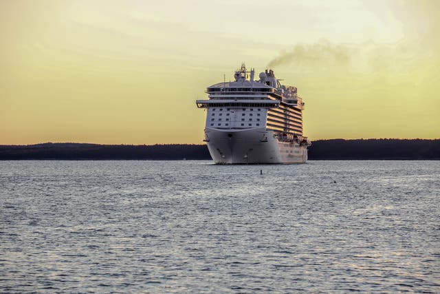 <p>Sea what we mean? Cruise retail is a data-driven, experience-led powerhouse</p>