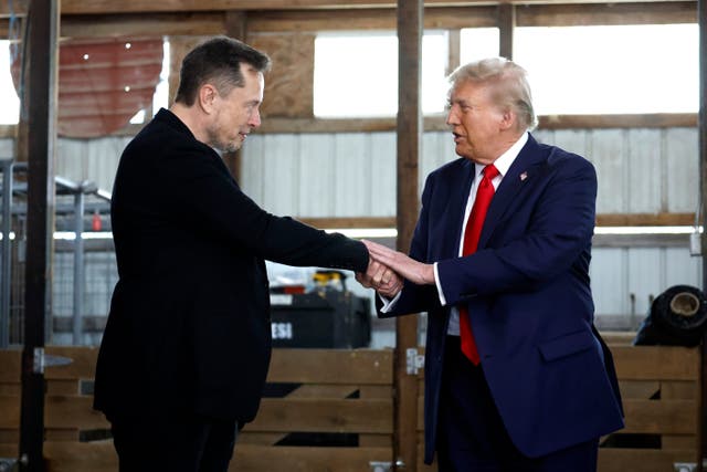 <p>Trump and Musk have repaired their relationship after their public fallout</p>
