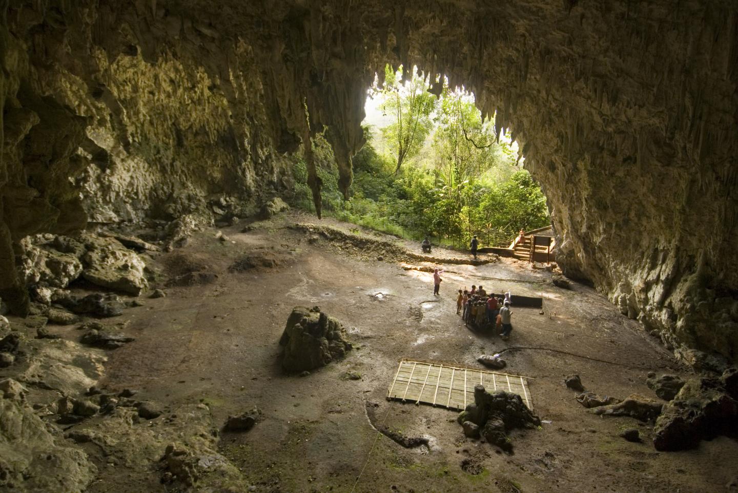 Liang Bua limestone cave on the Indonesian island of Flores, which was inhabited by Homo floresiensis