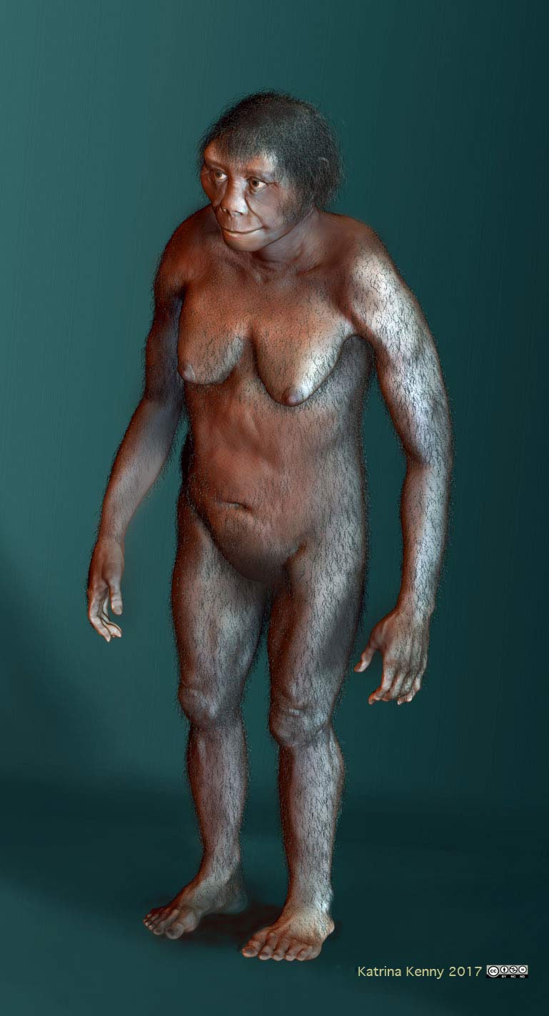 Artist’s impression of Homo floresiensis, dubbed the ‘hobbits’ for their short stature