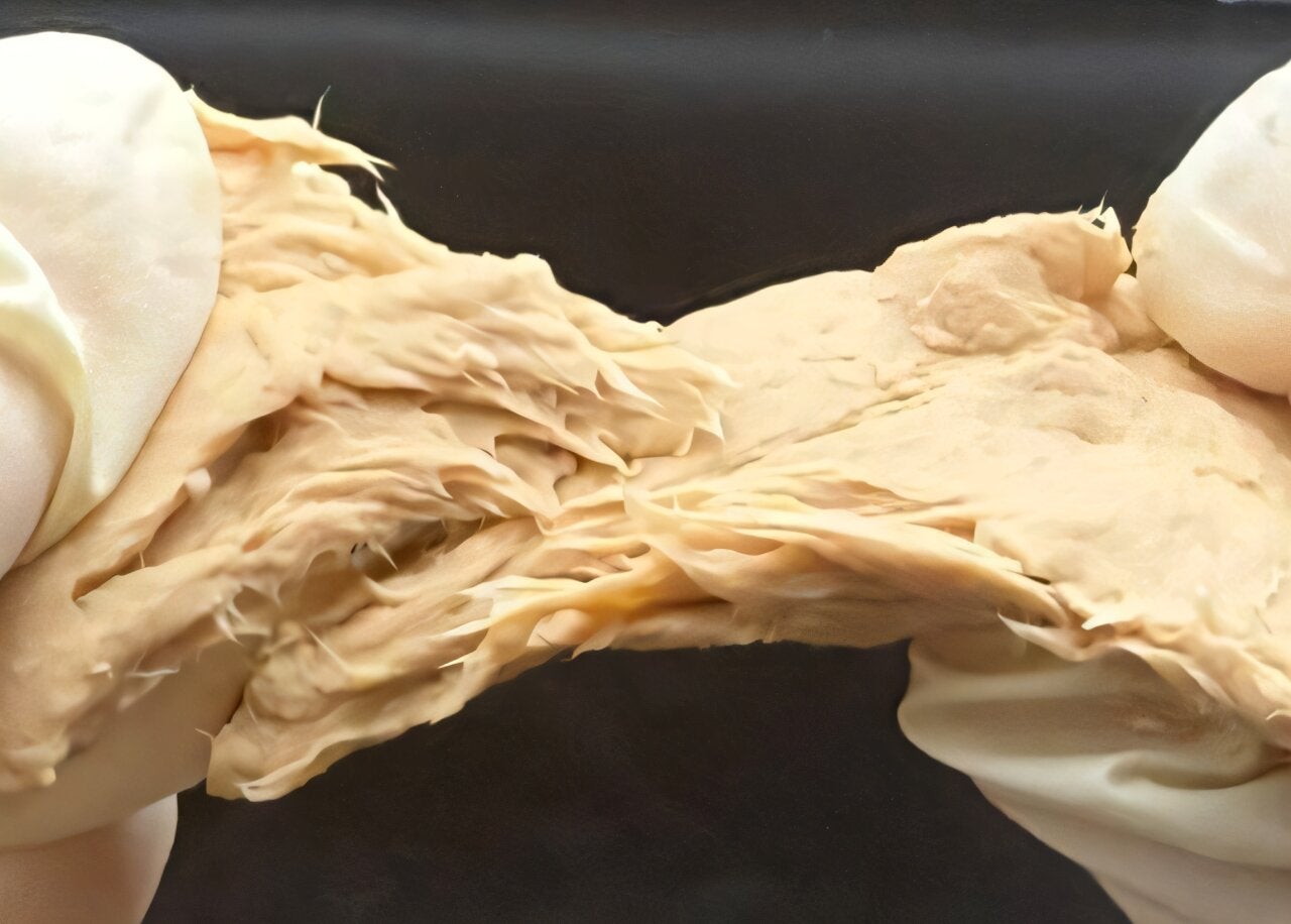 Genetically engineered fungus Fusarium venenatum