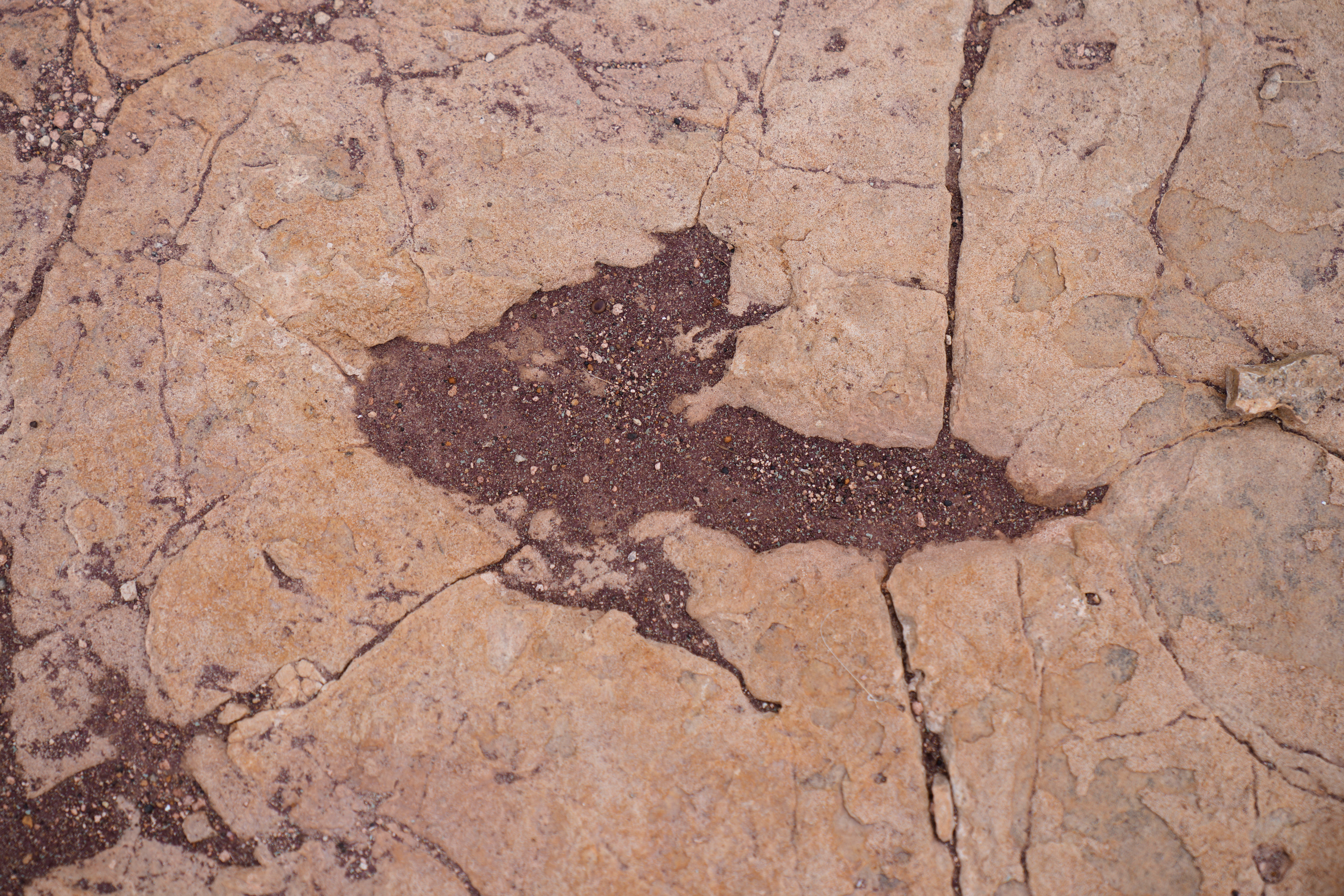 A petrified footprint by a dinosaur is visible in Carreras Pampa in Toro Toro National Park