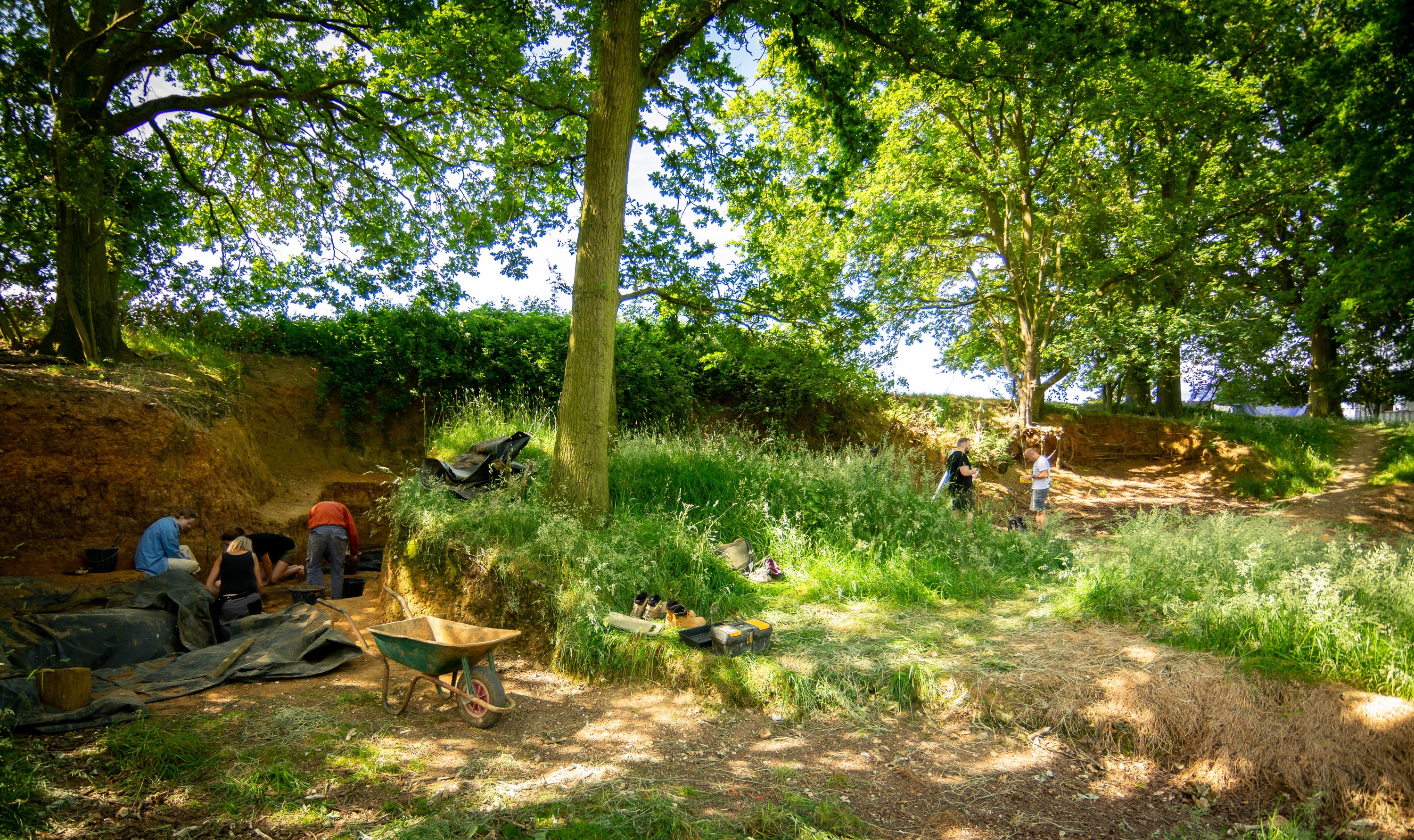 The discovery was made in a disused clay pit near Barnham, Suffolk