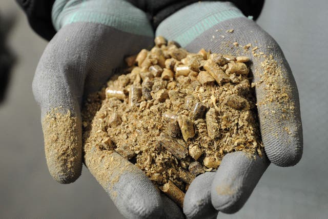 A handful of biomass pellets at a biomass facility at Drax Power Station near Selby, North Yorkshire (Anna Gowthorpe/PA)