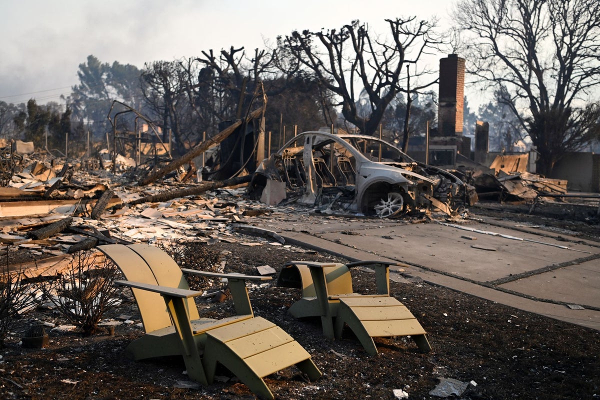 Study finds 2025 was costliest year on record for wildfires – UK Times Study finds 2025 was costliest year on record for wildfires – UK Times
