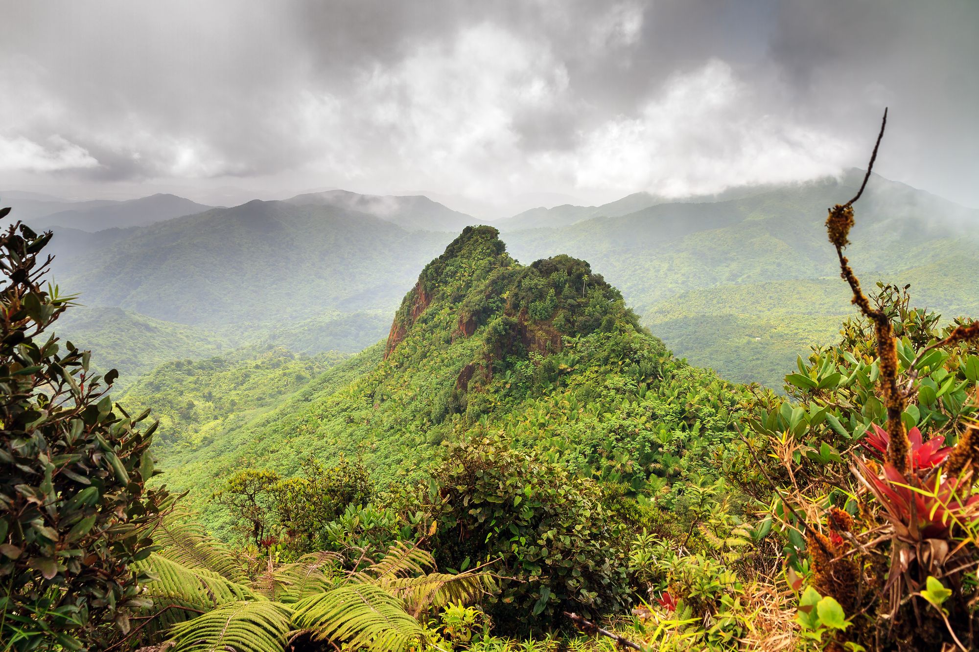 El Yunque National Forest is an enchanting oasis