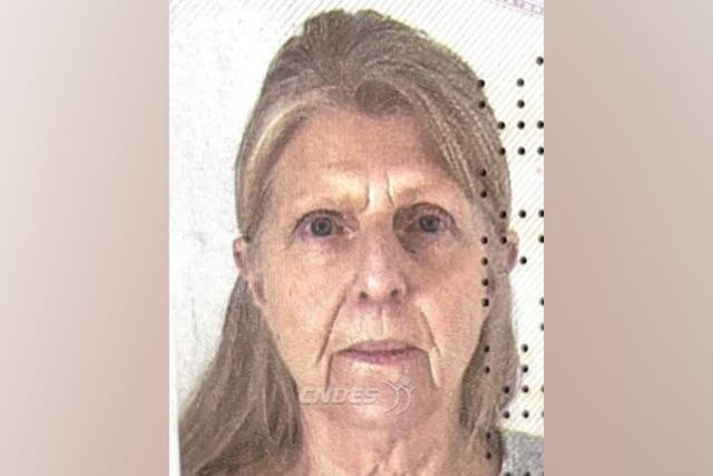 <p>Geraldine Ann was reported missing in September</p>