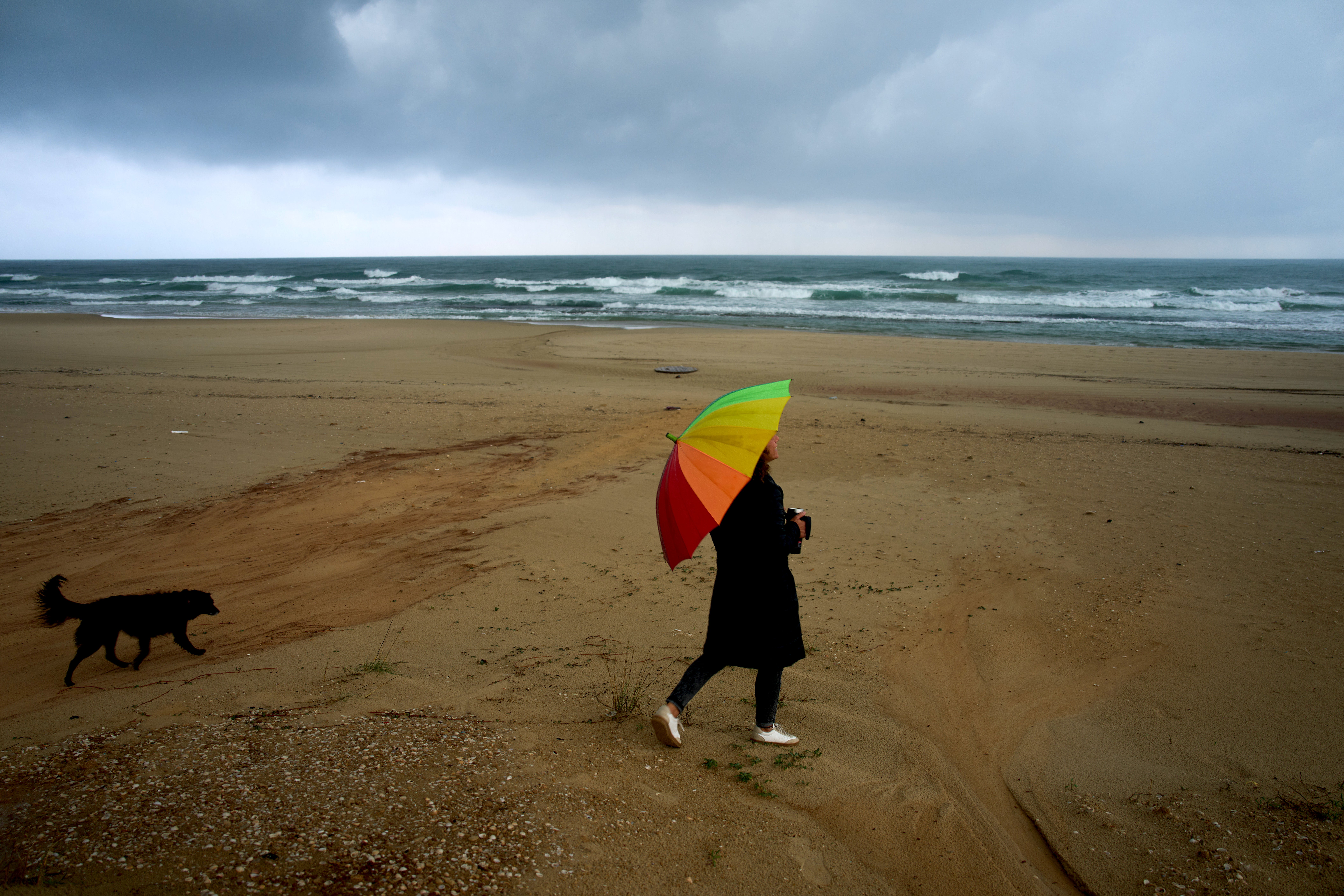 During COVID restrictions, pet acquisition surged globally