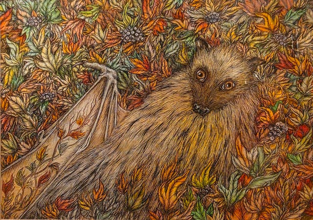 <p>A watercolour fruit bat from Frieda Hughes' first solo exhibition in 1993</p>