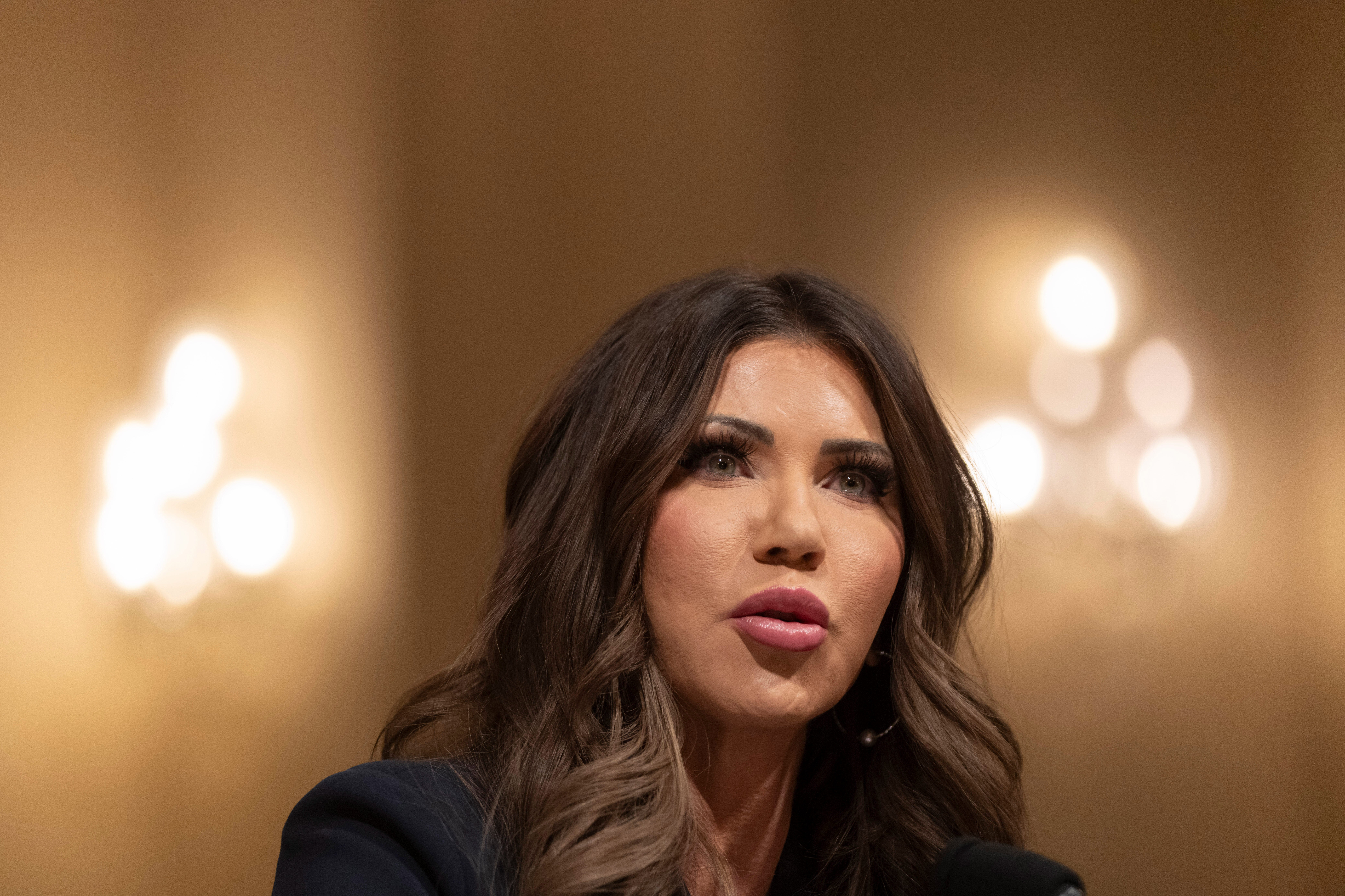 Congress Homeland Security