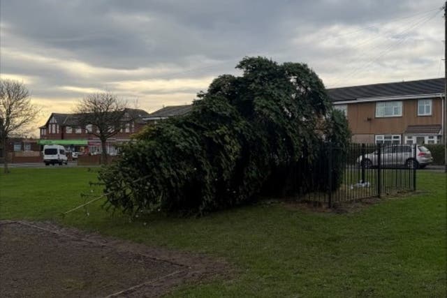 A Christmas tree in Shotton Colliery, County Durham, has been chopped down (Durham Police/PA)