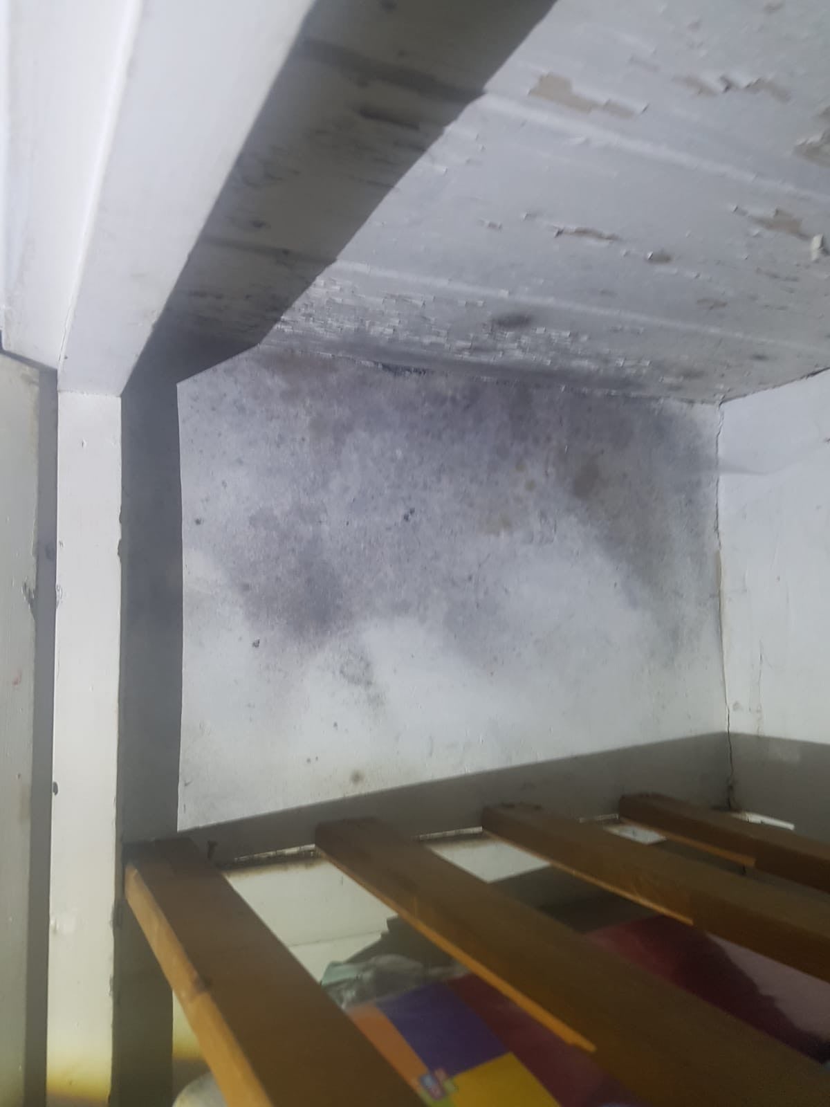 Tracy said the problem originated with mould in the airing cupboard