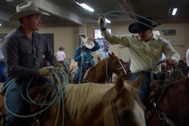 <p>Contestants wait to compete during the World Series of Team Roping at the South Point hotel-casino in Las Vegas Tuesday, Dec. 9, 2025, in Las Vegas</p>